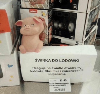 49060539_10161131531320307_8720885662363942912_n